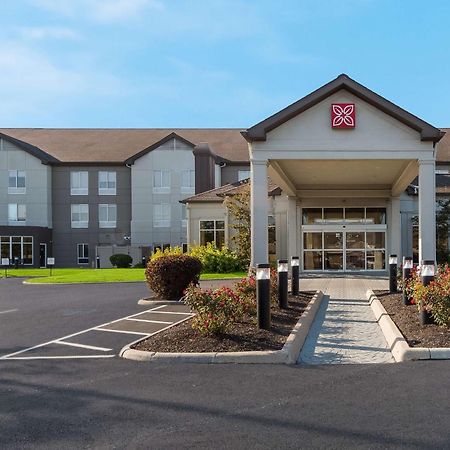 Hilton Garden Inn Columbus/Гров Сити Экстерьер фото